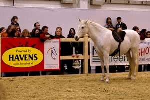 HAVENS maîtrise la nutrition du cheval depuis 1845! 