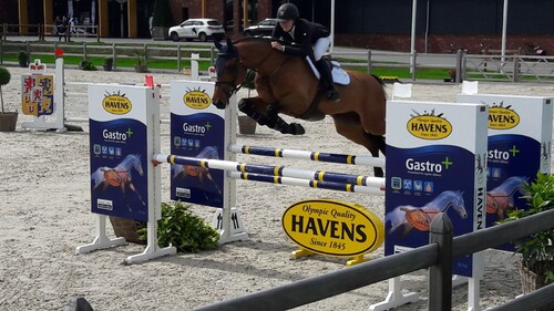Gastro+: référence pour chevaux de sport